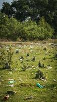 basura junto al río - basura en las orillas del río foto