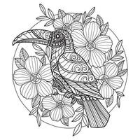 Hornbill and hibiscus flowers hand drawn for adult coloring book vector