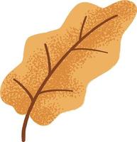 Autumn orange oak leaf with texture isolated on a white vector