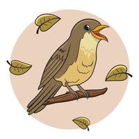 Nightingale Bird Cartoon Animal Illustration vector