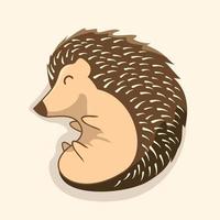 Hedgehog Cartoon Porcupine Illustrations vector