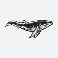 Black whale illustration vector