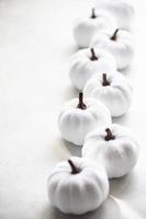 White handmade textile pumpkins as a Thanksgiving card photo