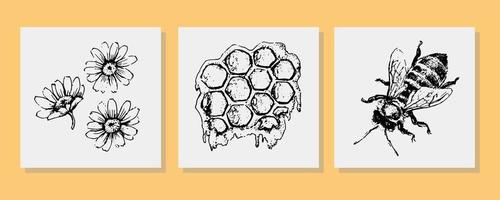 Vector honey set. Vintage hand drawn illustration. Engraved organic food