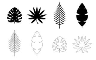 Tropical Palm, Monstera Leaves Icon Isolated on White Background. Natural Design Element set. Vector Illustration EPS10