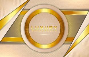 Luxury Beige Background vector