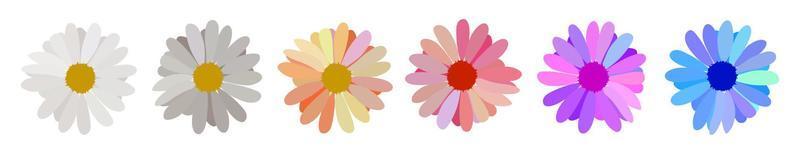 Set of simple flower of blossoming and blooming chamomile. Vector Illustration