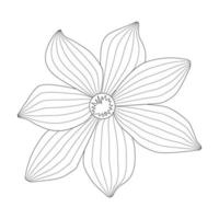 manzanilla flor simple dibujada por líneas. ilustración vectorial vector