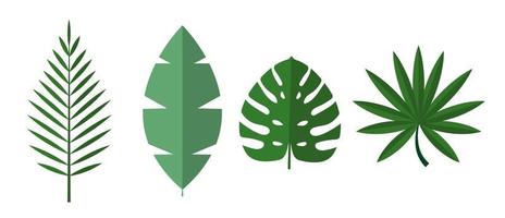 Tropical Palm, Monstera Leaves Icon Isolated on White Background. Natural Design Element set. Vector Illustration