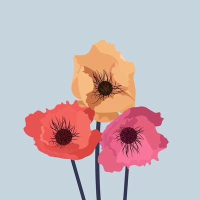 Simple flower poppy Vector Illustration