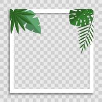 Empty Photo Frame Template with Tropical Palm Leaves for Media Post  in Social Network. Vector Illustration