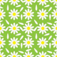 Blooming chamomile with petals on green background, seamless pattern. Vector Illustration