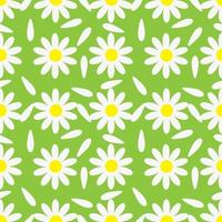 Blooming chamomile with petals on green background, seamless pattern. Vector Illustration