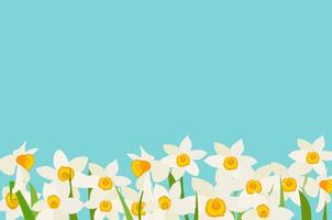 Narcissus Natural Background Template Vector Illustration