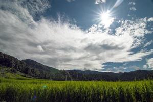 Terraza de campos de arroz en el distrito de Mae Chaem, Chiang Mai, Tailandia foto