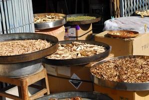 Assorted natural medical dried herbs. photo