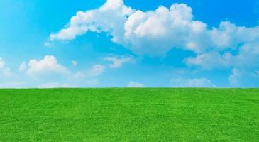 Field on a background with blue sky and clouds.