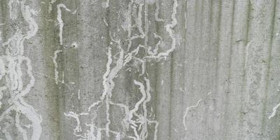 Old cement concrete wall texture. Vintage wall background photo