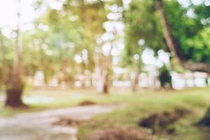 Green toned blurred nature bokeh public park with several trees. photo