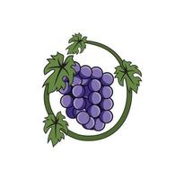 Grape design illustration vector