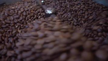 tostadora de granos de café fresco video