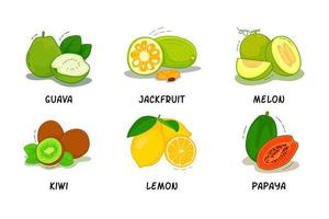 frutas, colección de frutas, guayaba, jaca, melón, kiwi, limón, papaya vector