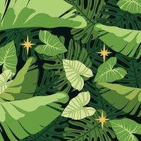 imagen vectorial con hojas tropicales. monstera, filodendro y hojas de plátano sobre un fondo oscuro. pequeñas luces decoran la selva tropical.