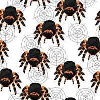 tarantula spider seamless pattern, bright animal with eight legs and cobweb on a white background vector