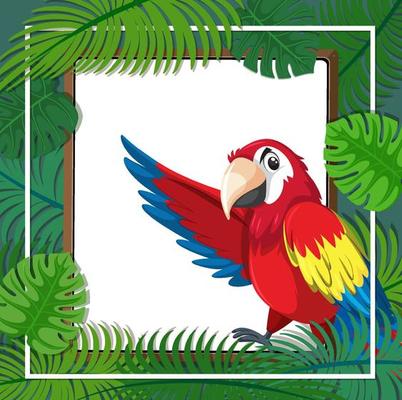 Empty banner with tropical leaves frame and parrot bird cartoon character