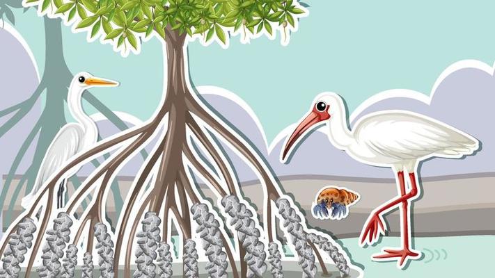 Thumbnail design with animals in mangrove