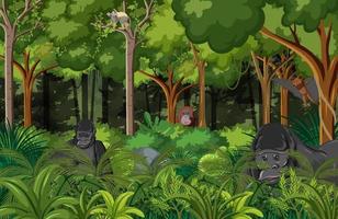 Nature forest landscape background with gorillas vector