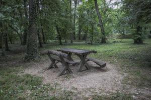 Mesa y bancos de madera en el parque de Sumice en Belgrado foto