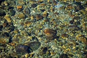 Rocks below Water Layer photo