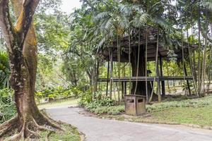 Oasis Garden in Perdana Botanical Gardens in Kuala Lumpur, Malaysia. photo