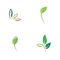 logotipos de vector de elemento de naturaleza ecología de hoja verde