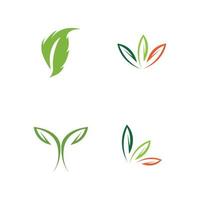 logotipos de vector de elemento de naturaleza ecología de hoja verde