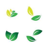 leaf logo vector