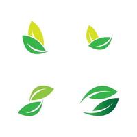 leaf logo vector