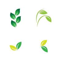 leaf logo vector