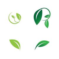 leaf logo vector