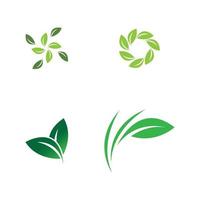 leaf logo vector