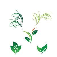 leaf logo vector