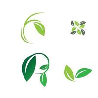 leaf logo vector