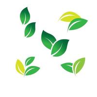 leaf logo vector