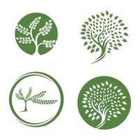 tree logo vector