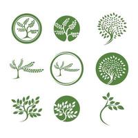 tree logo vector