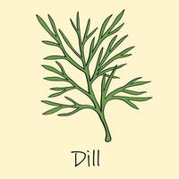 Doodle freehand sketch drawing of dill. vector