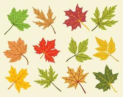 Collection of simplicity maple leaf freehand drawing flat design. vector