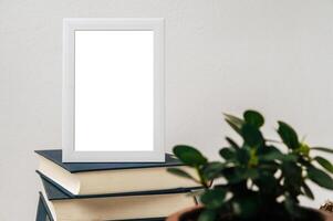 A picture frame placed on a book with a small plant pot photo