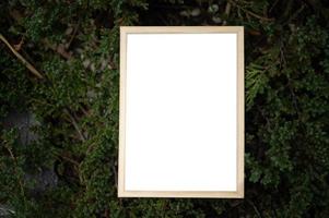 marco blanco en un árbol foto